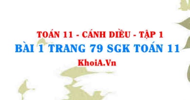 Bài 1 trang 79 SGK Toán 11 tập 1 Cánh Diều